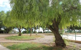 Sainvi 6-9A